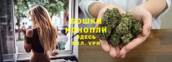 трава Алзамай