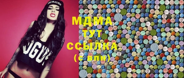 гидра Алексеевка