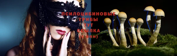 экстази Алексин