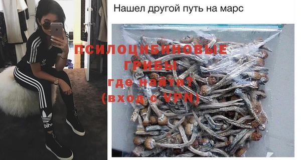 экстази Алексин