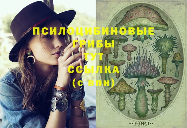 трава Алзамай