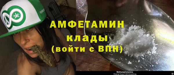 гидра Алексеевка