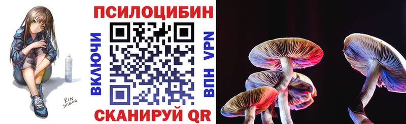 Псилоцибиновые грибы Psilocybine cubensis  Дедовск 
